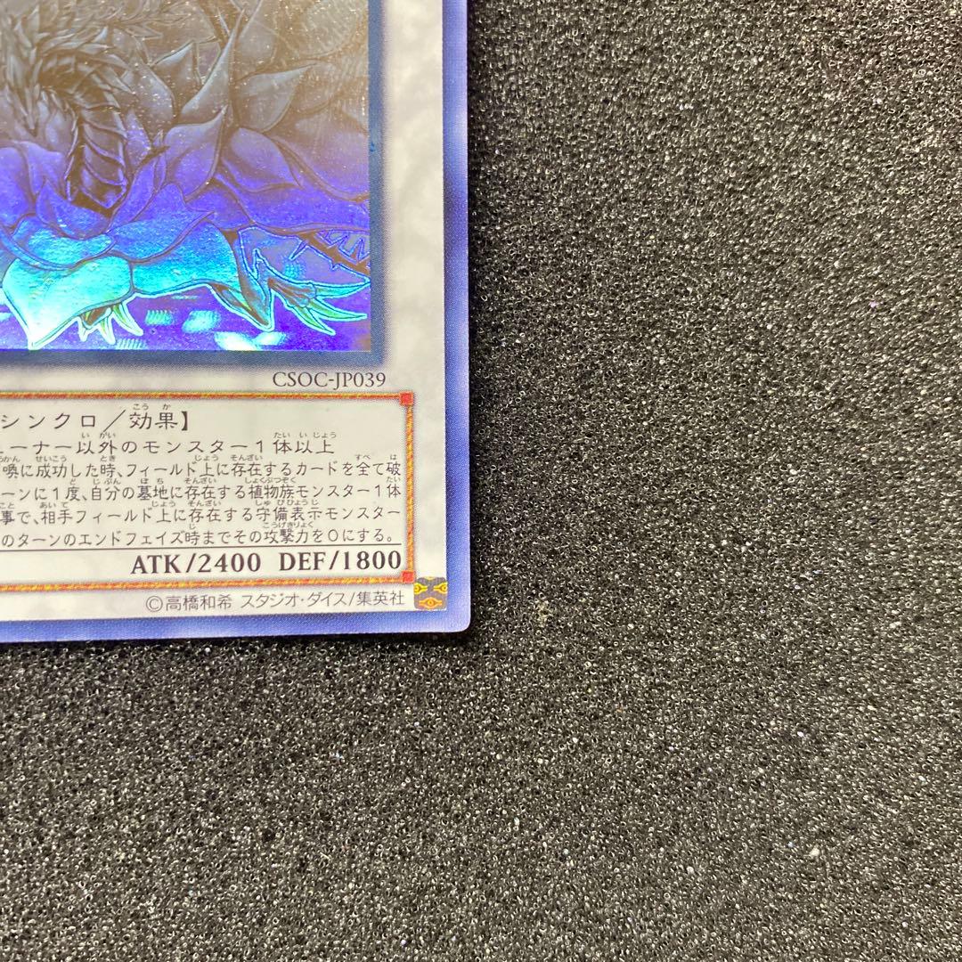 ロ*ー様 【美品】　遊戯王　ブラック・ローズ・ドラゴン　ホロ　ホログラフィック