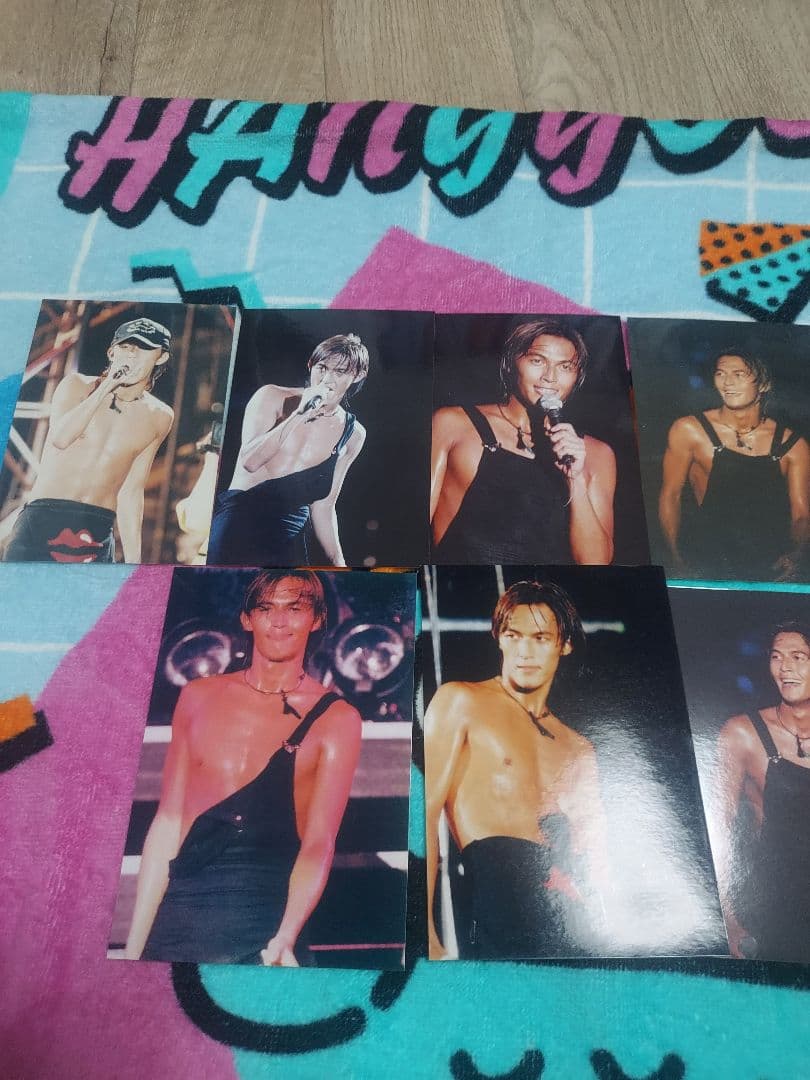 B'z稲葉浩志1993渚園バラ売り○