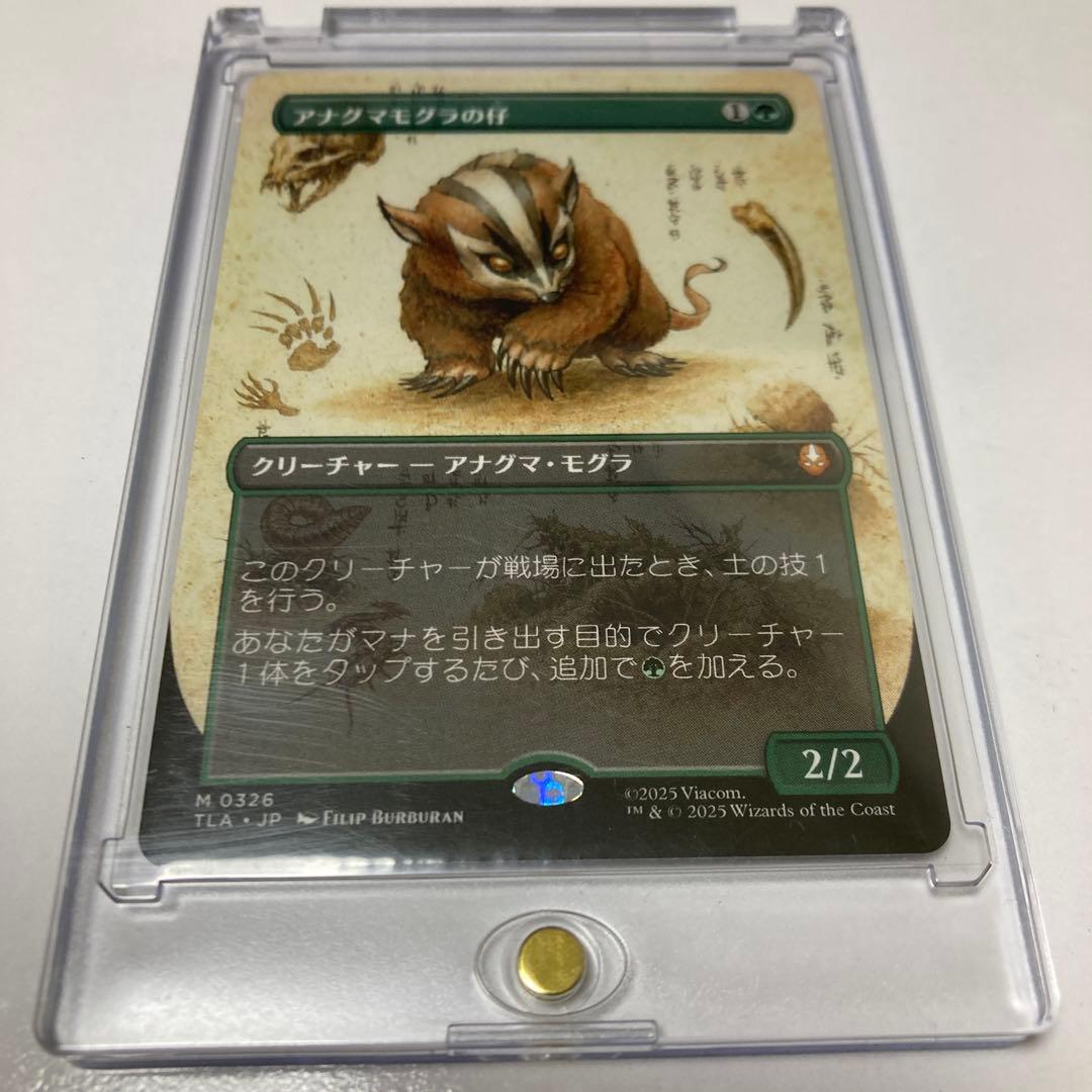 MTG アナグマモグラの仔/Badgermole Cub ボーダーレス TLA - メルカリ