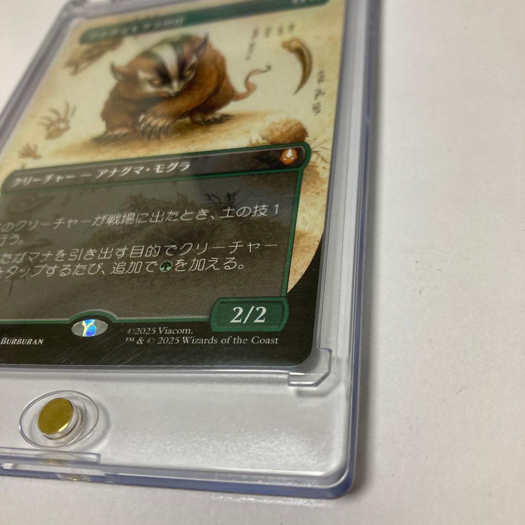 MTG アナグマモグラの仔/Badgermole Cub ボーダーレス TLA - メルカリ