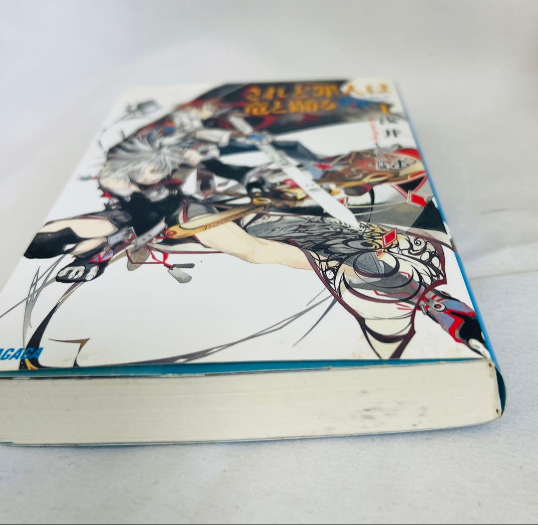 されど罪人は竜と踊る 1〜24 + 0.5,オルケストラ全巻セット されど罪人