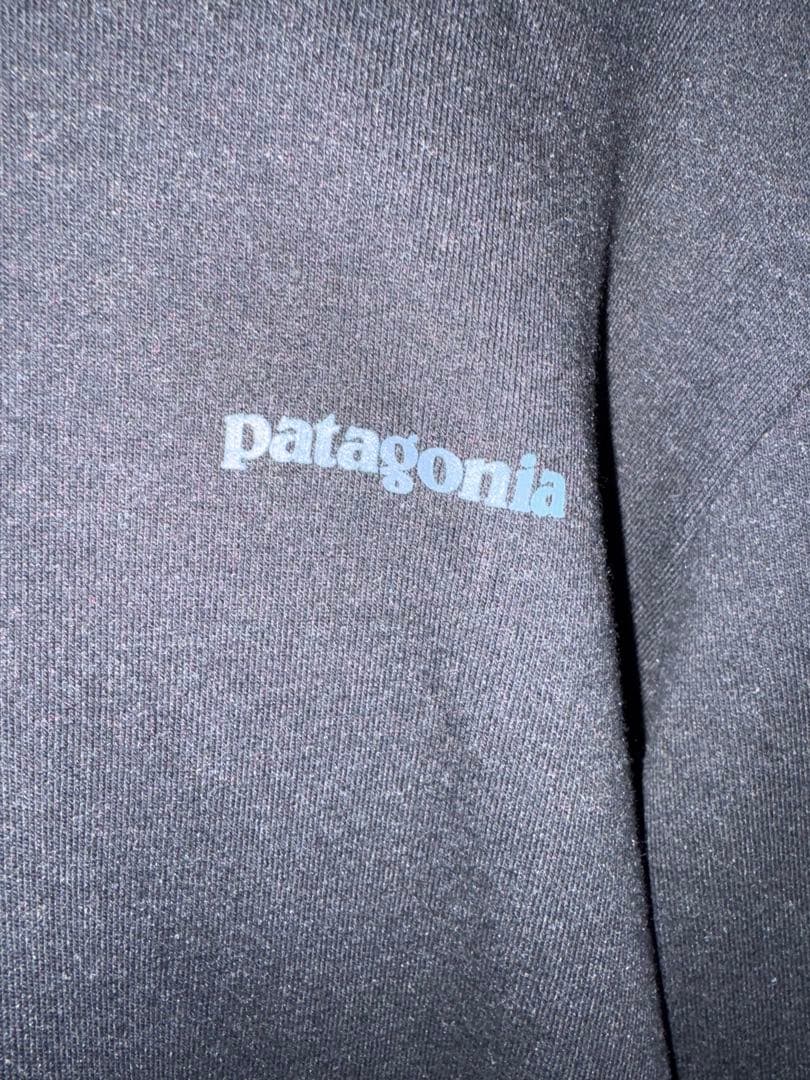 Patagonia フィッツロイ・アイコン・アップライザル・フーディ 39666