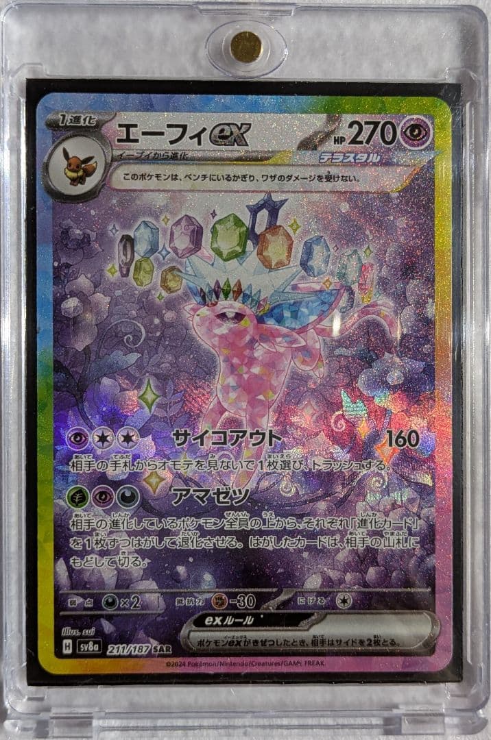 テラスタルフェス　ゴッドパック