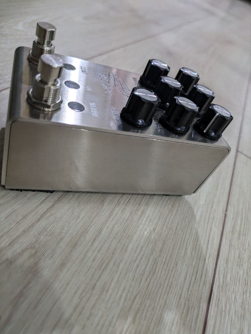 ギター JACKSON AUDIO BLOOM V2