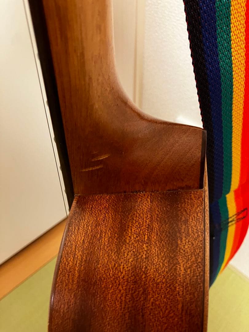 (値下げ)ミニアコースティックギター　SX トラベルギター　TG-1