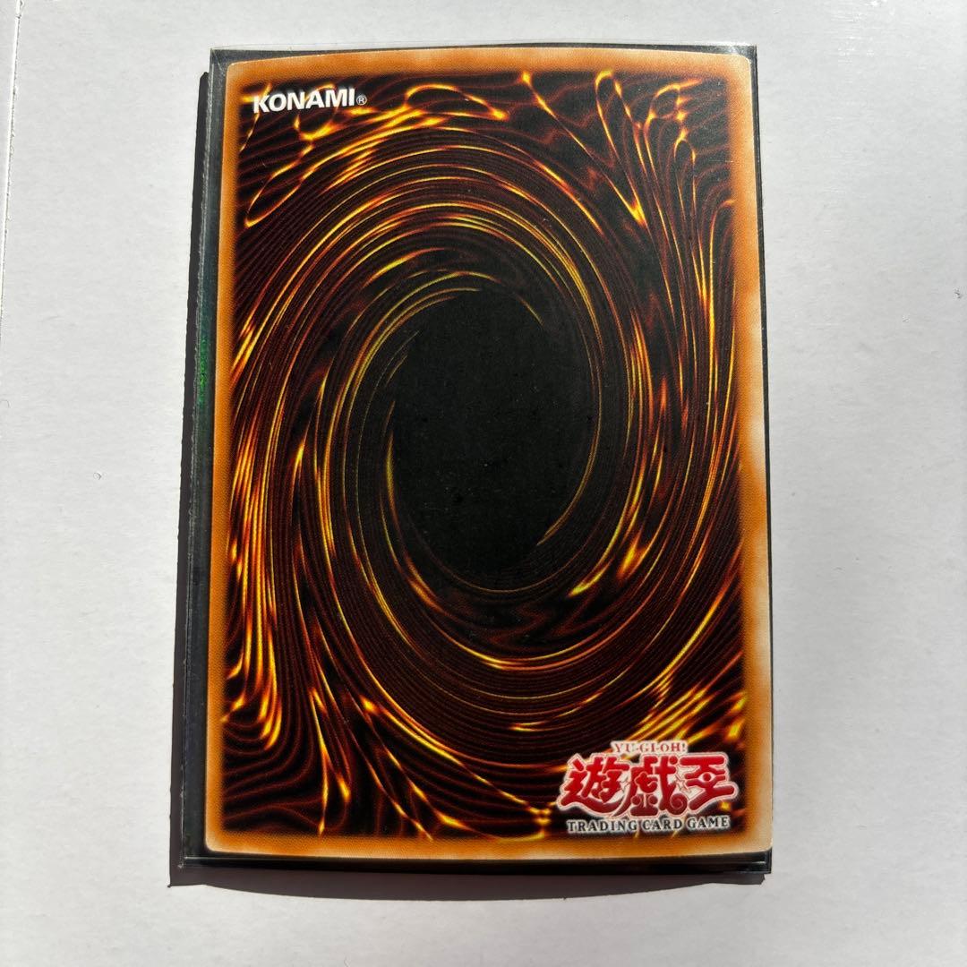 ホーリー・ナイト・ドラゴン 2006 WORLD CHAMPIONSHIP