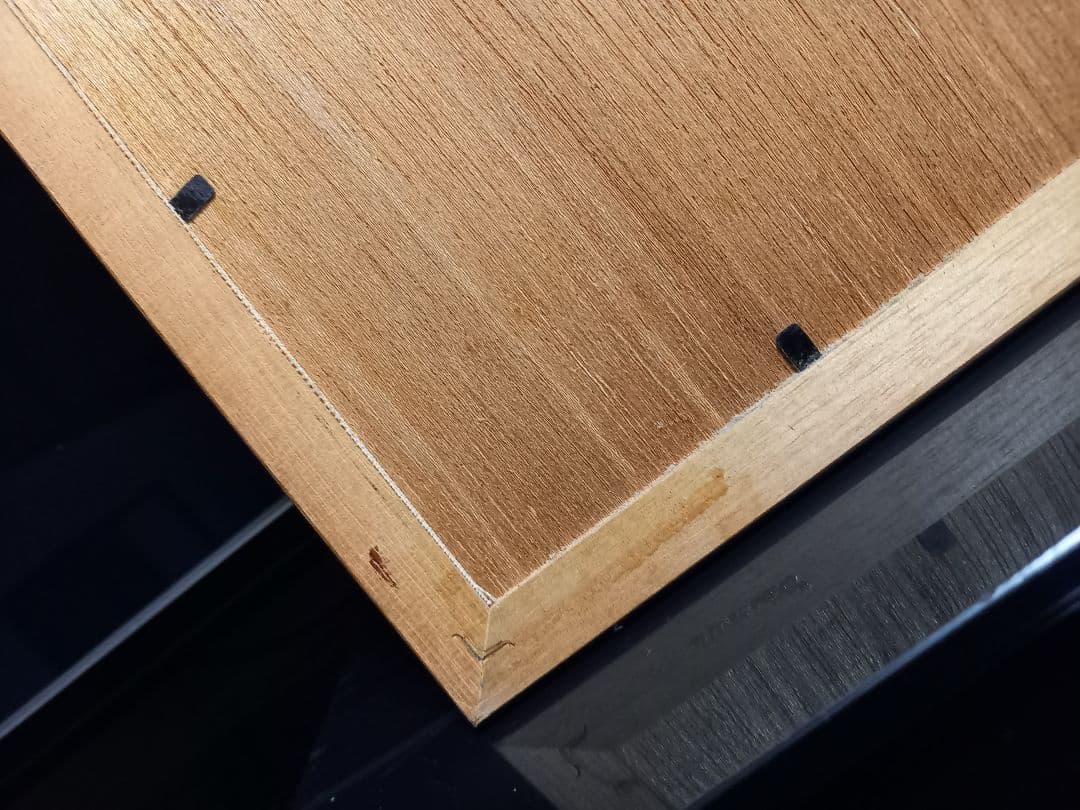 ディズニー 生誕 100周年 記念 1500枚限定 キャンバス ポスター