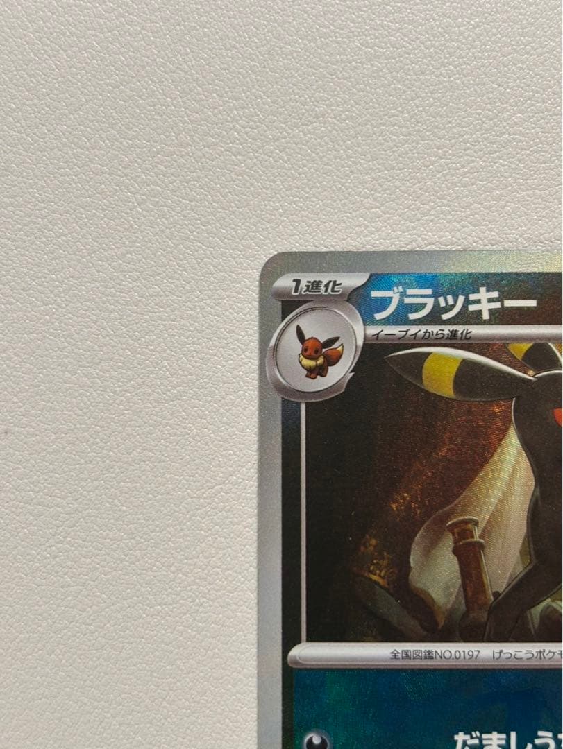 ブラッキー マスターボールミラー テラスタルフェスex収録