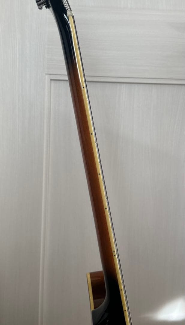 (中古)エレキギター セミアコAriaProⅡ TA600