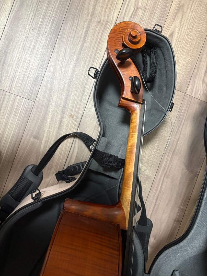 Gliga gems チェロ　4/4 2012年製 、ケース・弓・ブラックホール