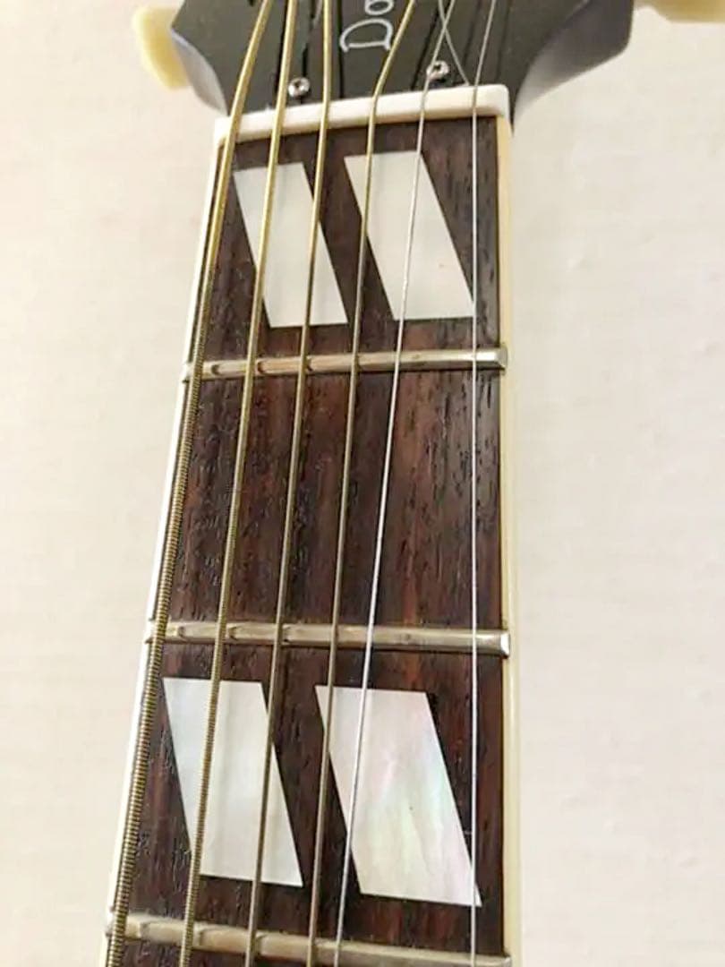 美品 希少 Orville by Gibson DOVE ストア