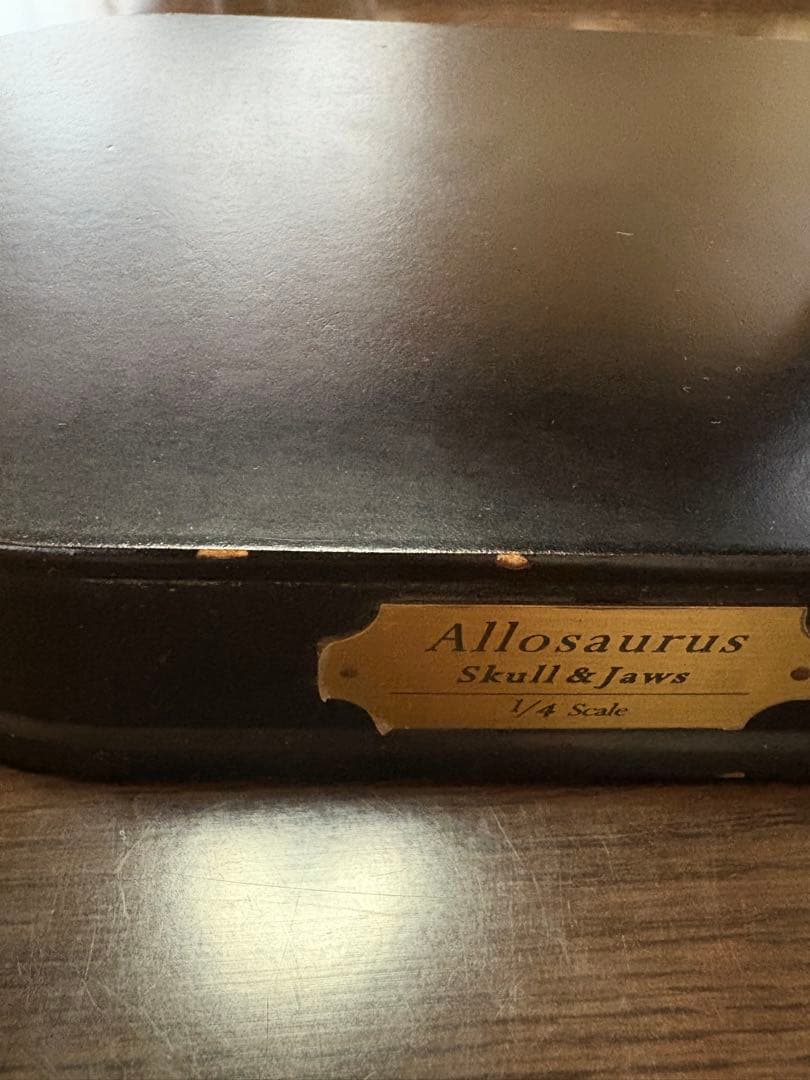 恐竜（アロサウルス）の頭部模型 黒色台座付き - メルカリ