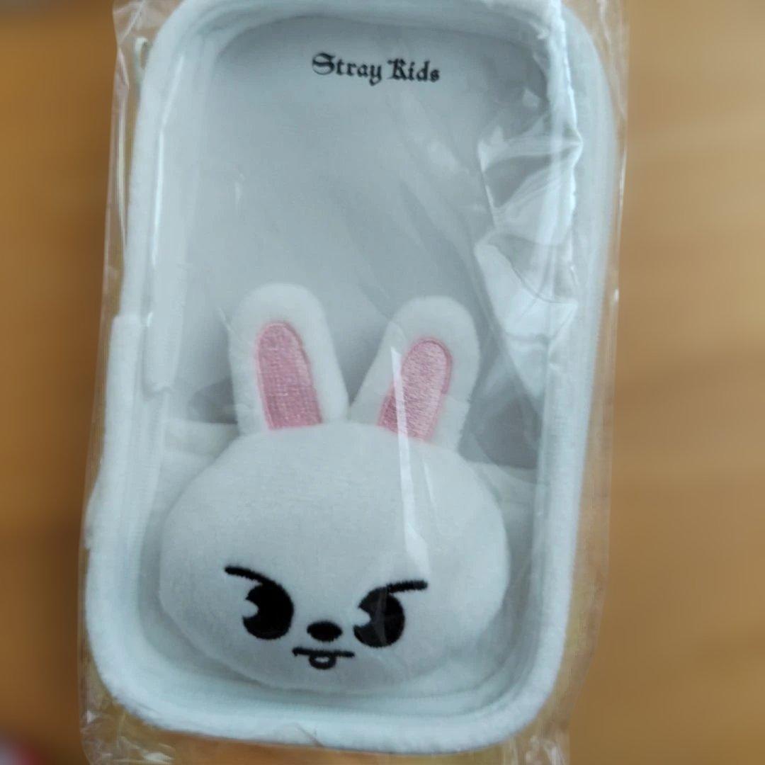 stray kids 公式 ペンライトうちわケース アクスタケースセット