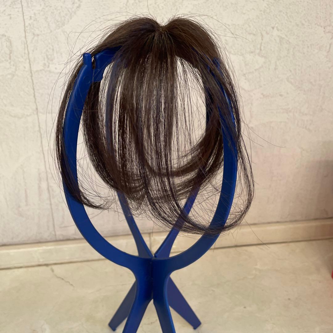 チャチャ　ショート　ダークブラウン