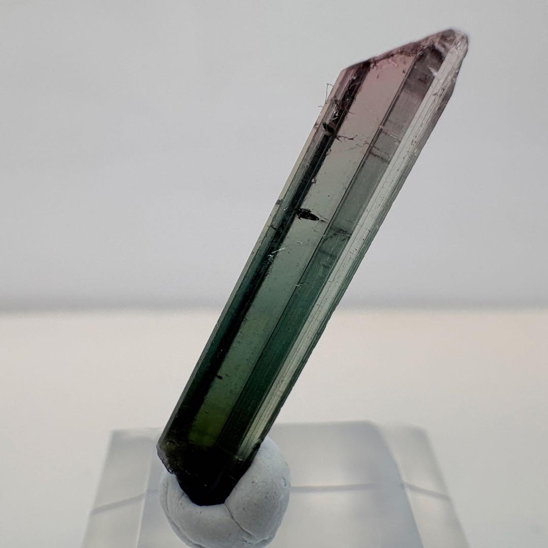 期間限定価格 アフガニスタン産 トリカラー トルマリン 原石 鉱物 標本