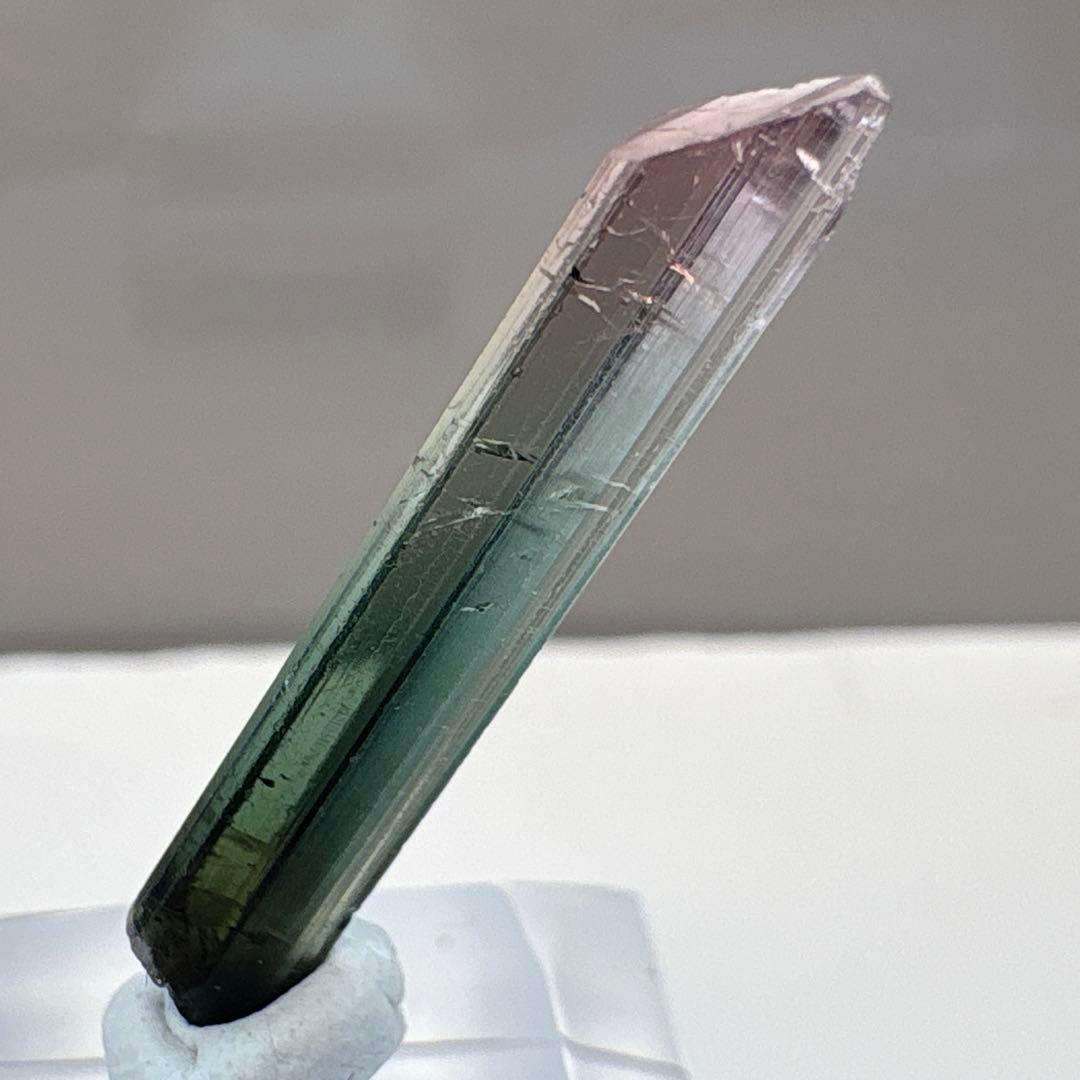 期間限定価格 アフガニスタン産 トリカラー トルマリン 原石 鉱物 標本