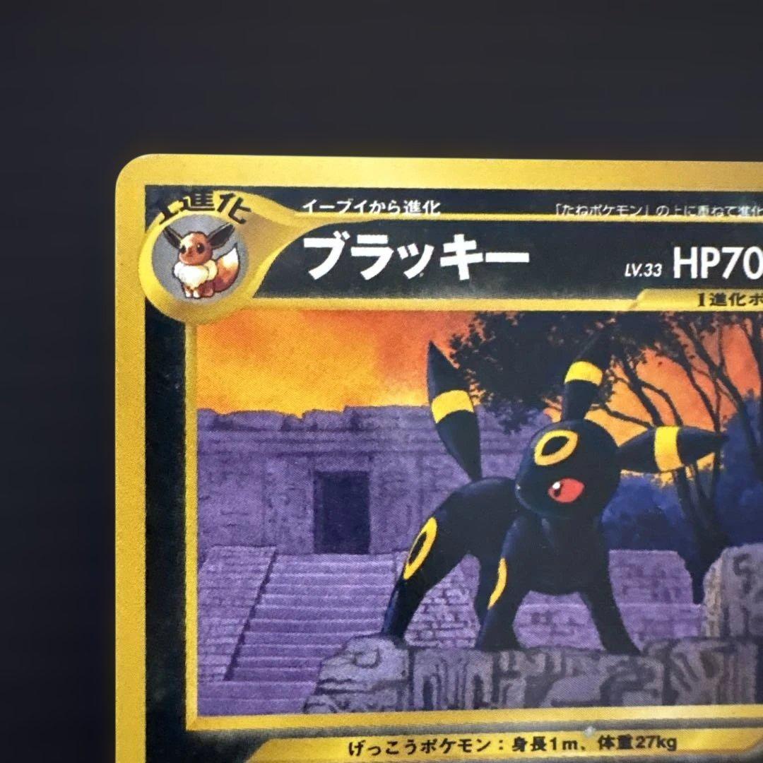 ポケモンカード　旧裏　ブラッキー　プレミアムファイル2