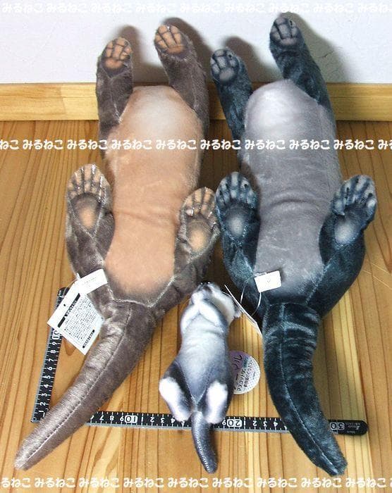 特大 リアルアニマルズ アートドール カワウソ 全2種 おねだり 新品 セット