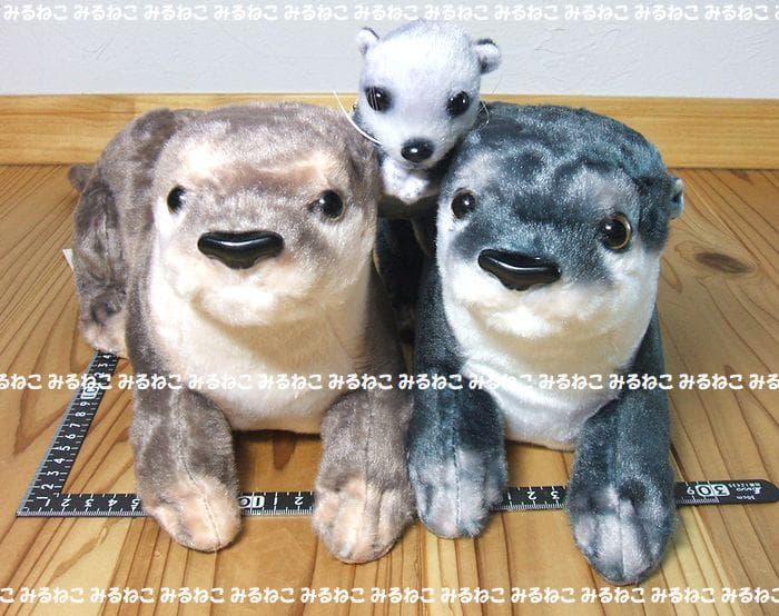 特大 リアルアニマルズ アートドール カワウソ 全2種 おねだり 新品 セット