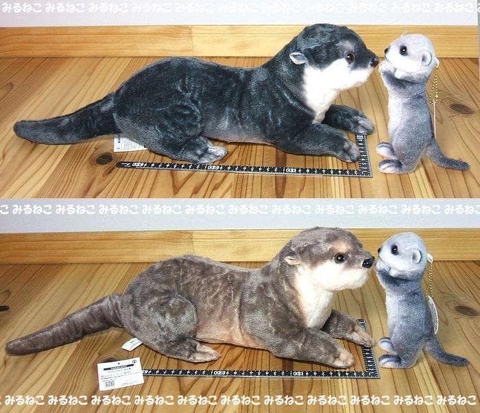 特大 リアルアニマルズ アートドール カワウソ 全2種 おねだり 新品 セット