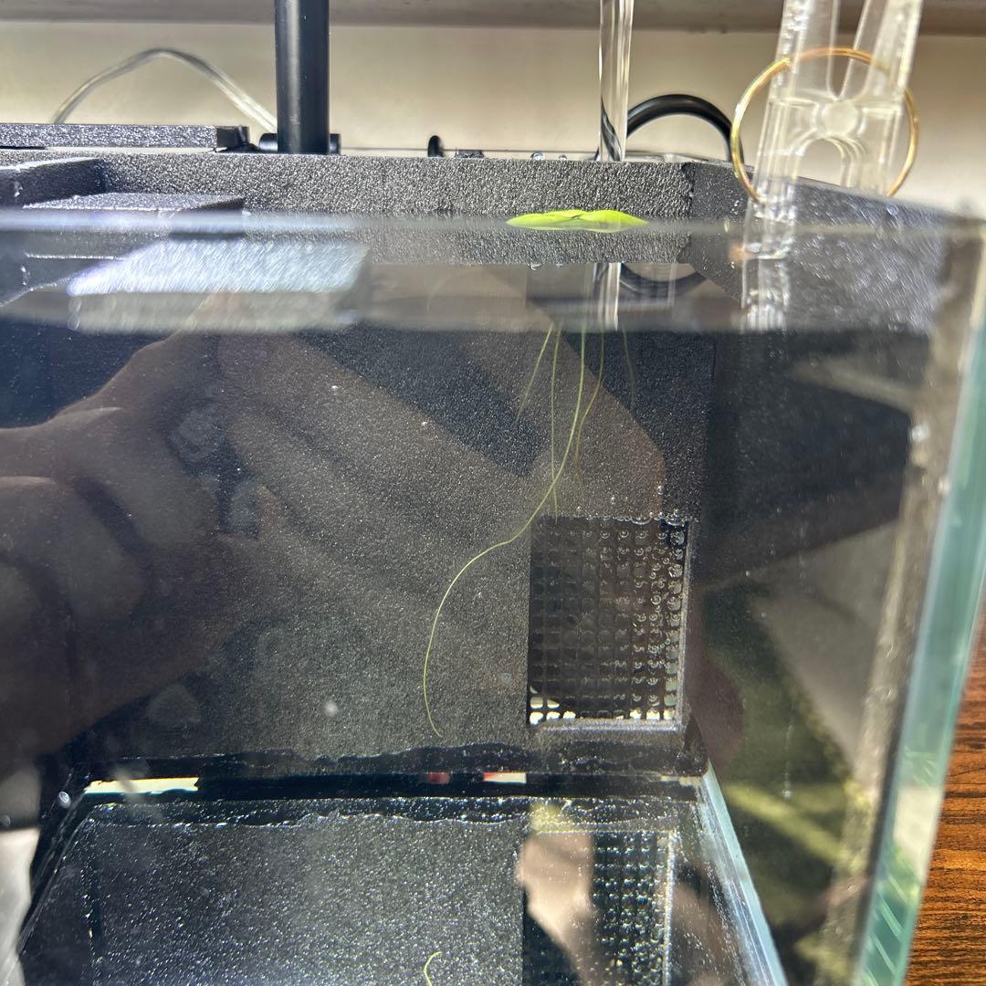 セット品&改良型】ベタマンション 自作 DIY ベタ 水槽 使用済み 魚用品