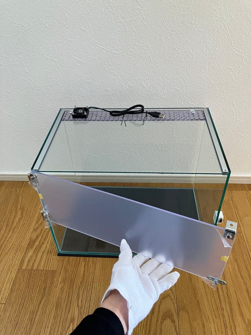 45cm イモリウム テラリウム水槽 ヒロセペット成田空港店 | 本日の