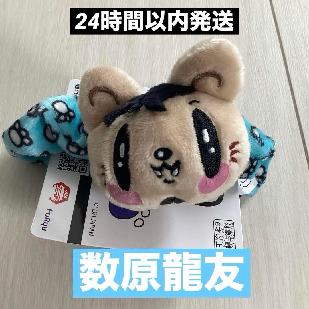 ジェ猫 シュシュ 数原龍友 - メルカリ