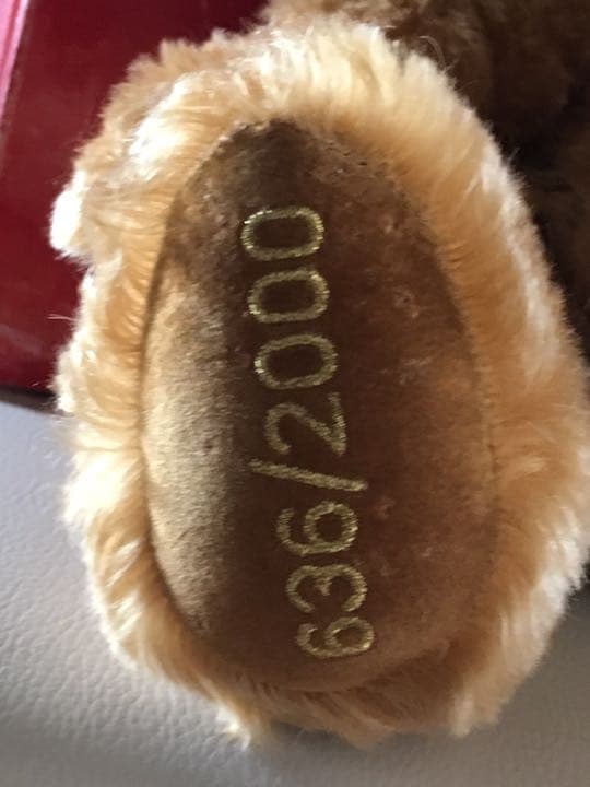 超限定品、テディベア 新品