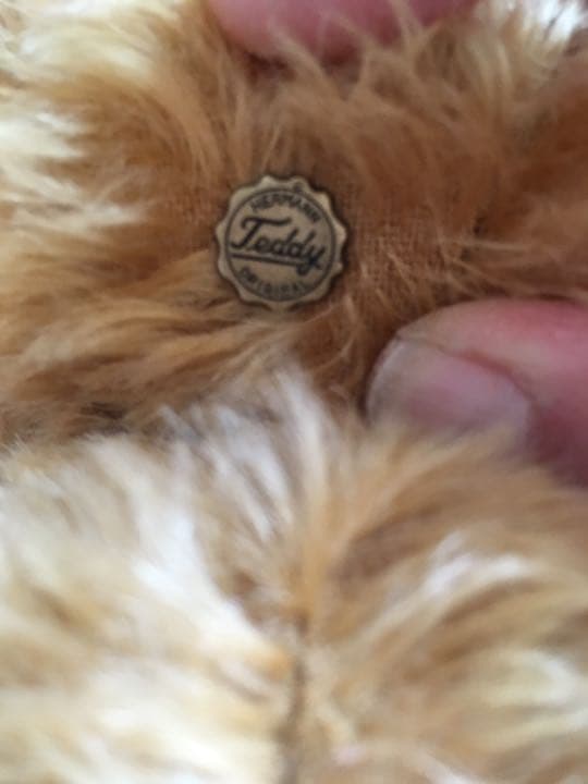 超限定品、テディベア 新品