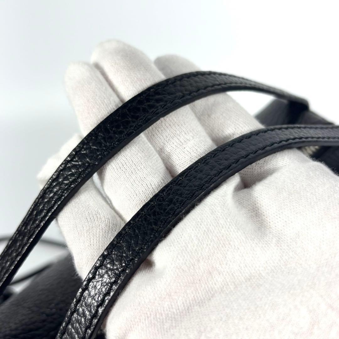 ✨極美品✨ジャンニキャリーニ アリファM 2way シボ革 斜め掛け 大容量 黒