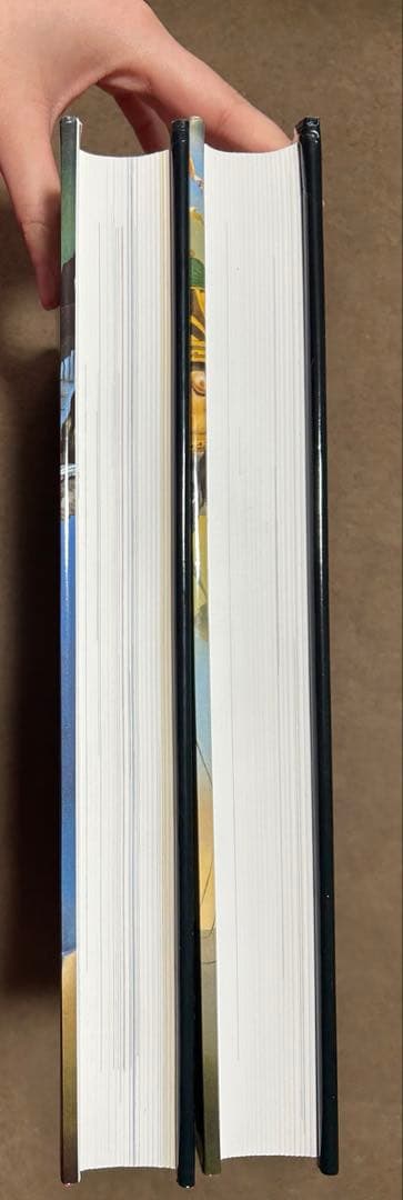 ダリ全画集 Salvador Dali The Paintings全2冊 絶版