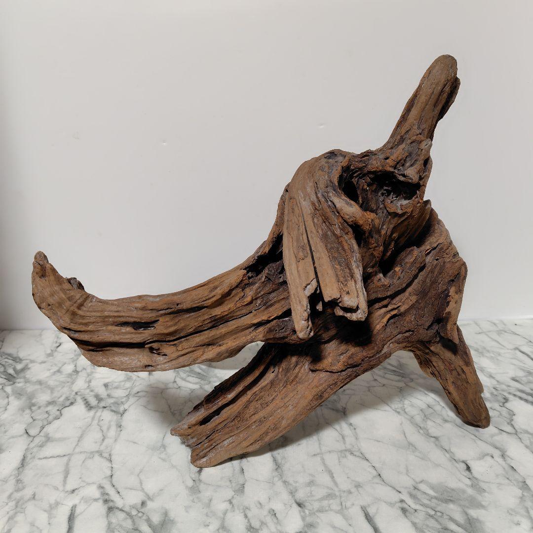 アク抜き済み流木【785】セール