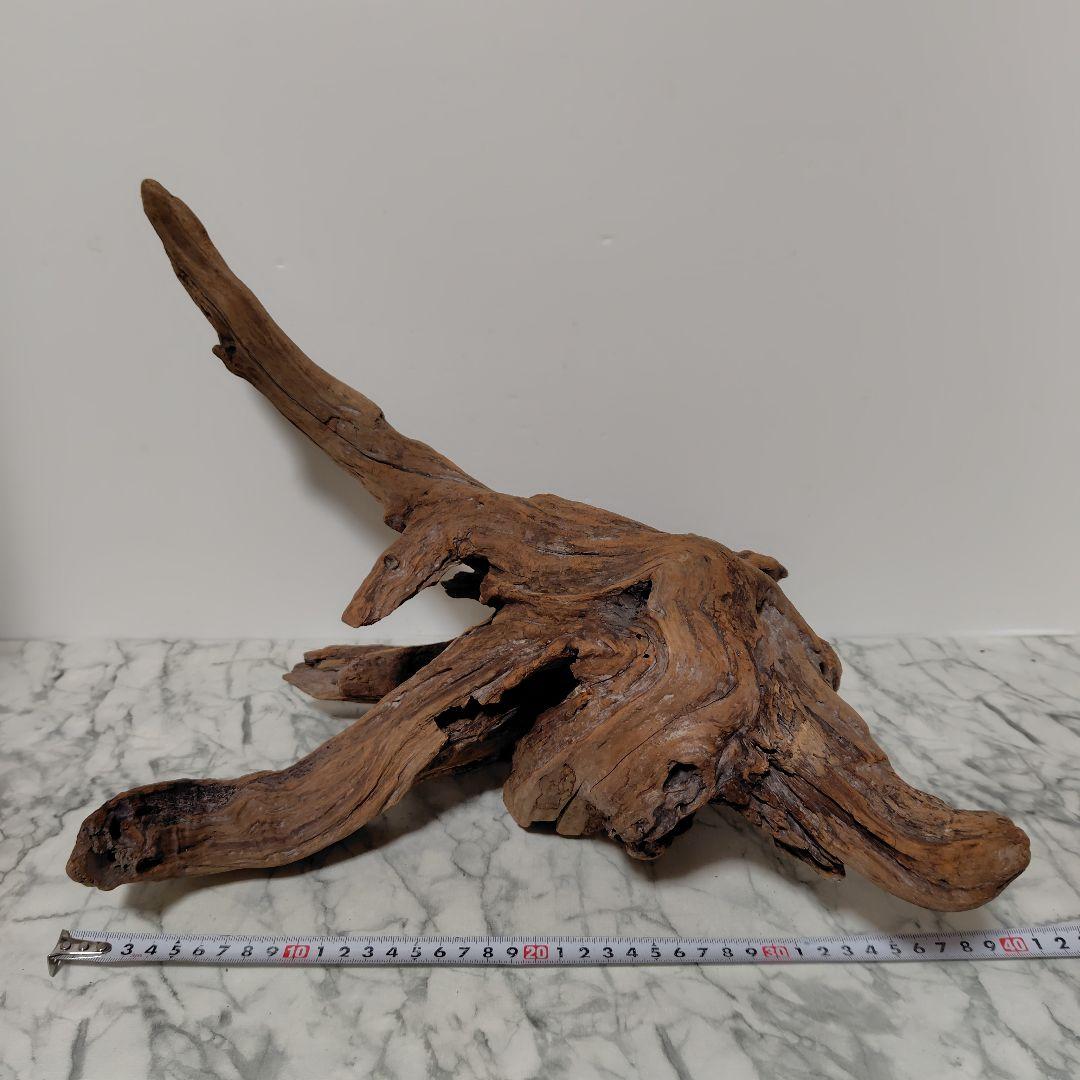 アク抜き済み流木【785】セール