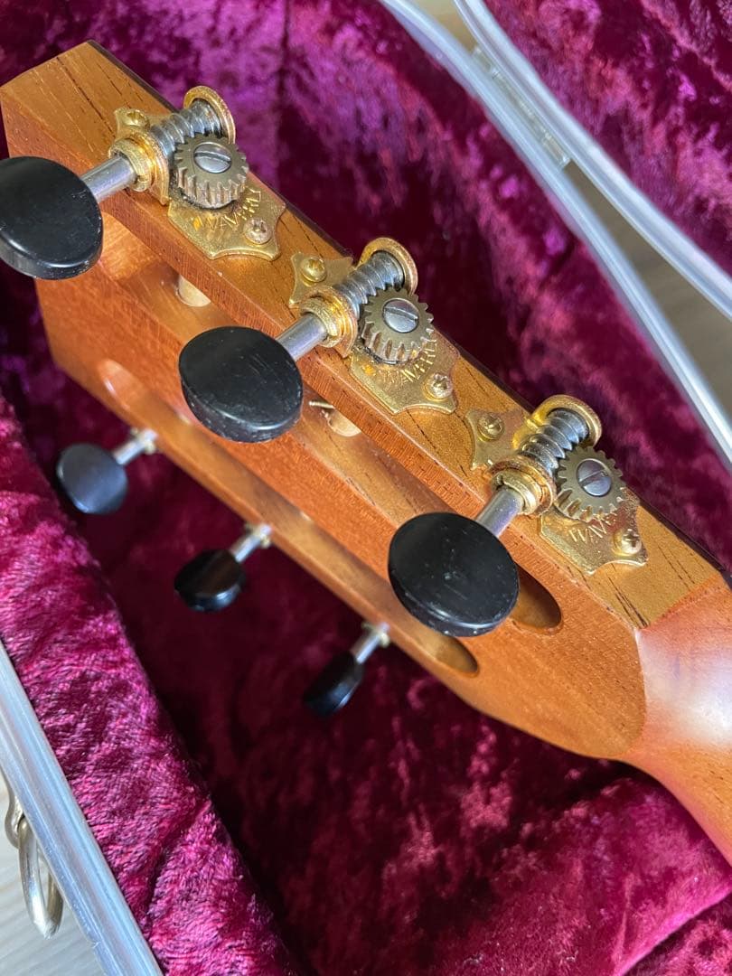 Lakewood A-45 Custom Ziricote Europian - メルカリ