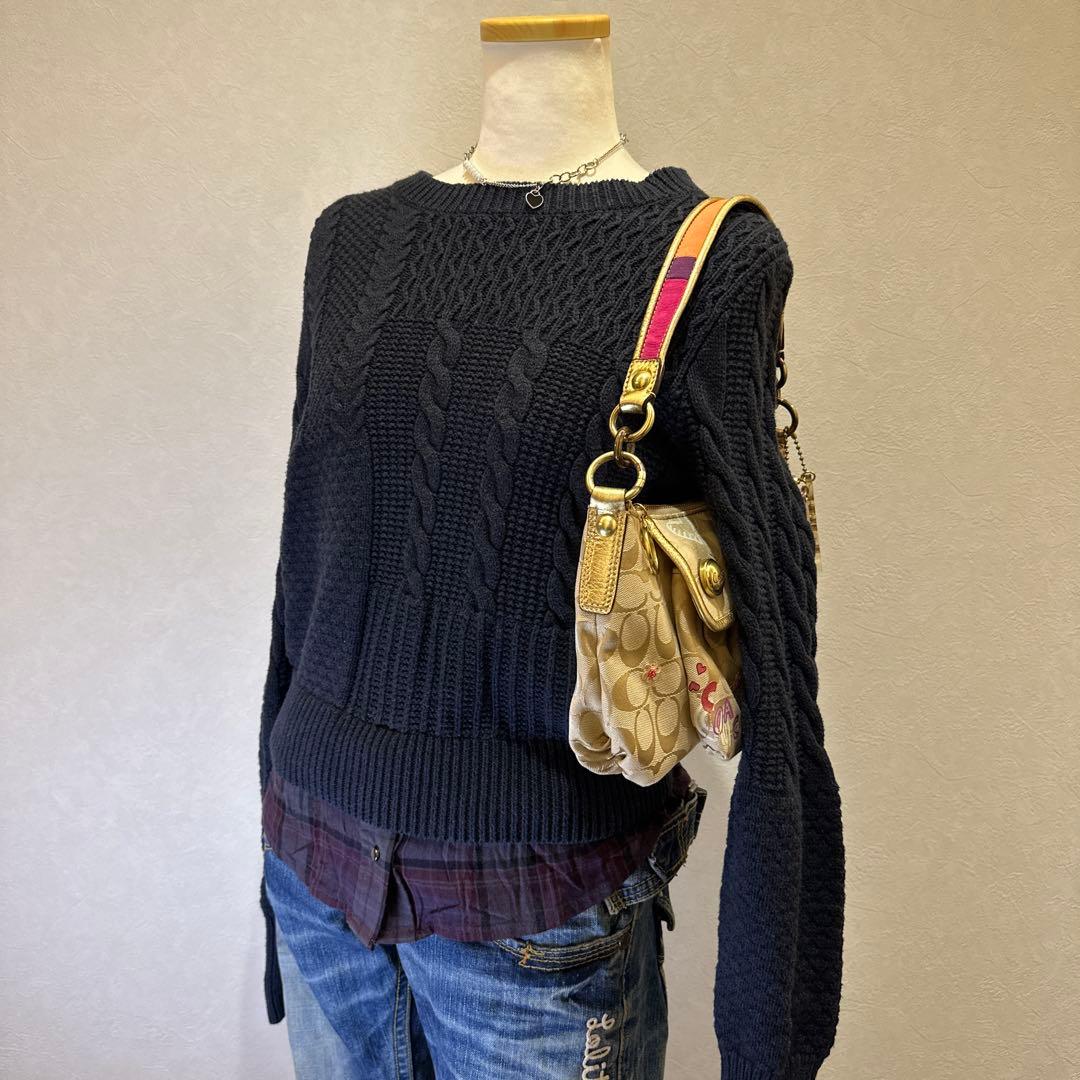 バッグ coachpoppy archive shoulder bag Y2K