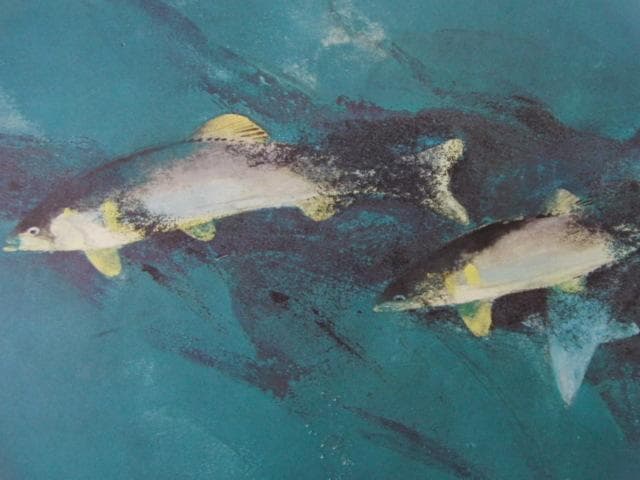 堅山南風、【鮎】、希少な大判額装用画集より、新品高級額装付、豪華限定版