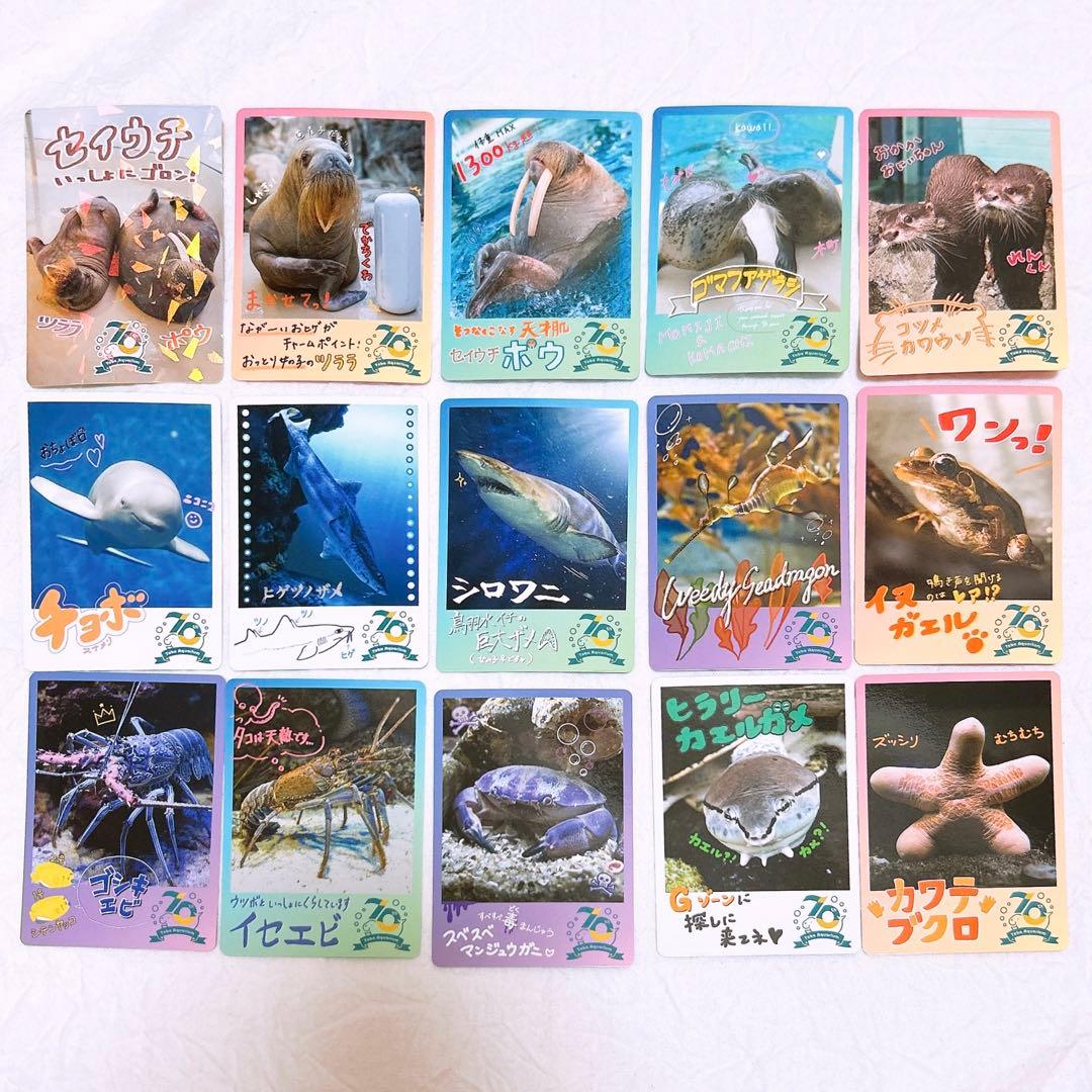 鳥羽水族館 70周年 コレクションカード レア キラメイ 通常 キラ