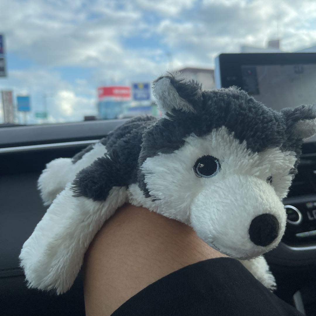 勝手に喋る蛇【サラマンダーの吐息】 勝手に喋る蛇【サラマンダーの吐息】 sddefault.jpg