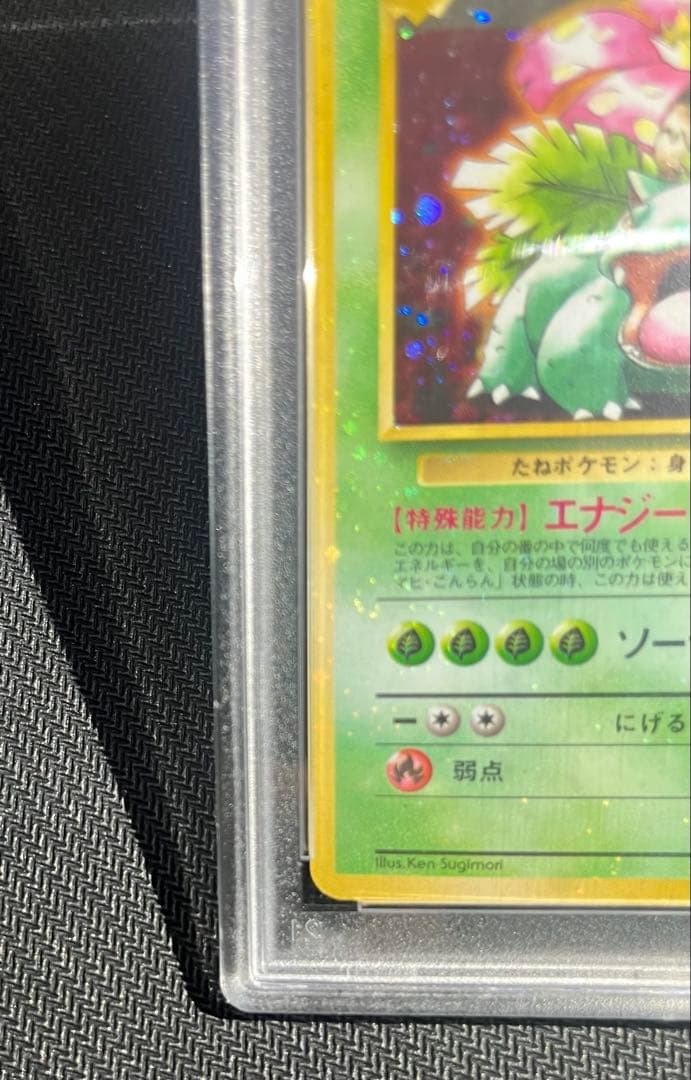 フジギバナ　旧裏　psa10