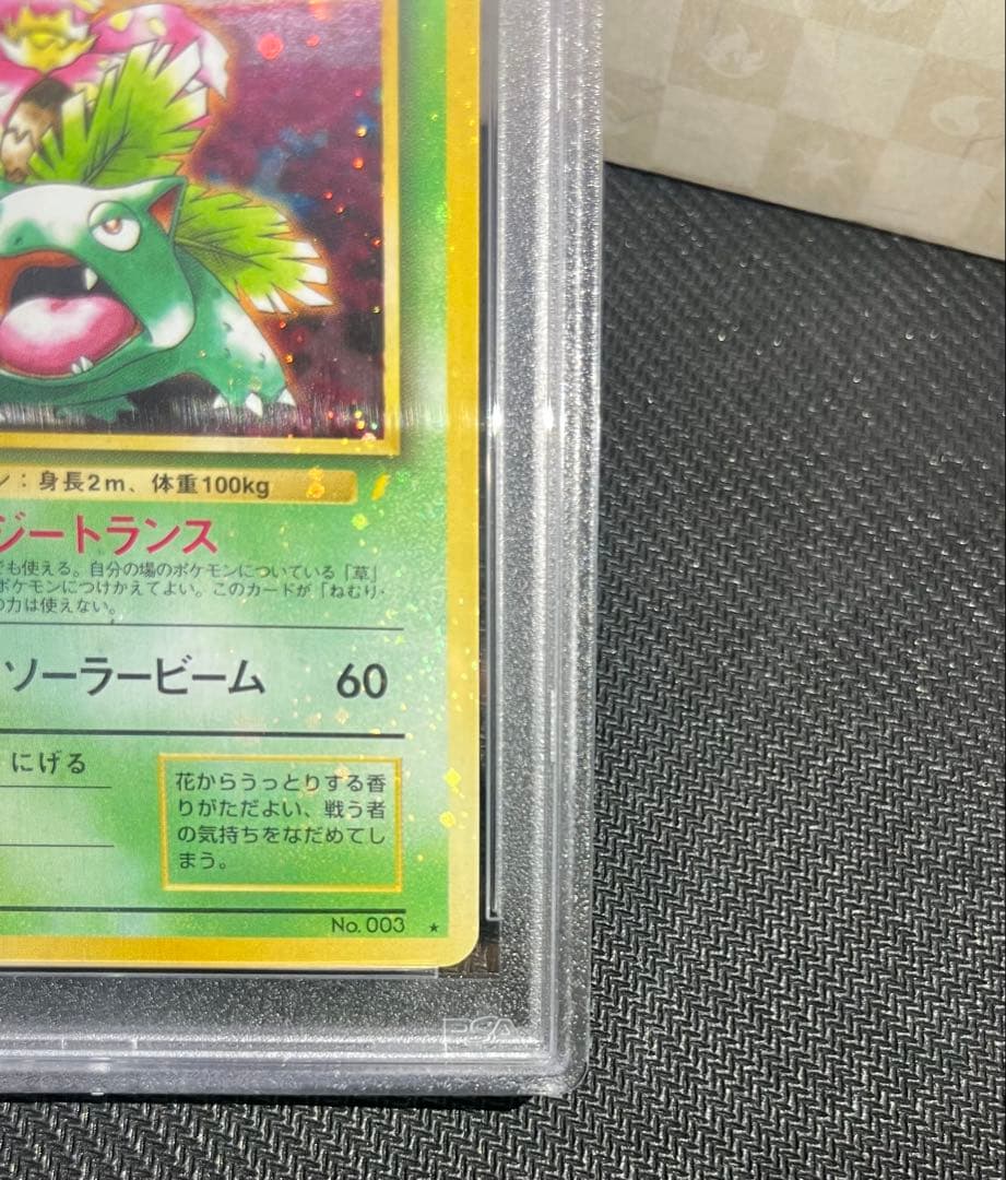 フジギバナ　旧裏　psa10