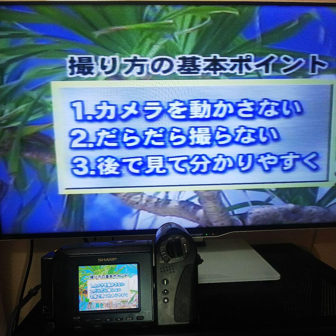 SHARP HI8 ビデオカメラ VL-HL100 液晶ビューカム 動作品