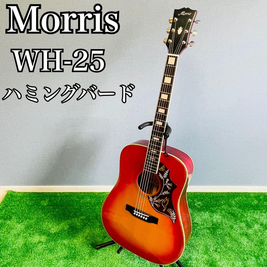 希少！】MORRIS WD-25 ハミングバード オンライン ストア