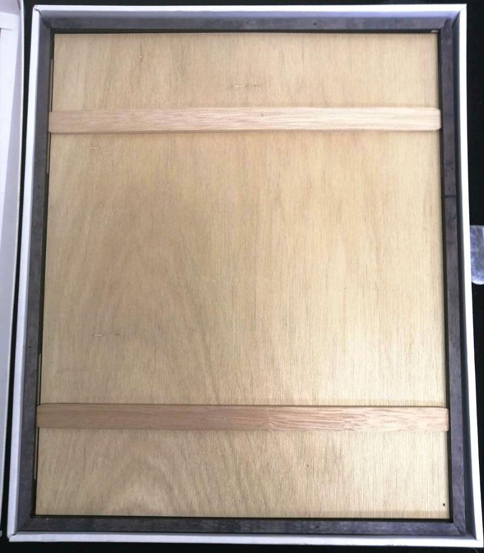 直筆サイン入りFC限定購入品!河村隆一ライオンの赤ちゃん額装LUNA SEA