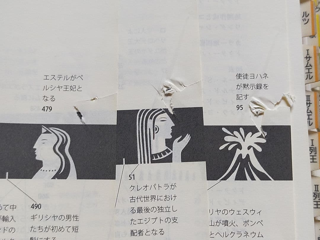 BIBLE navi : 聖書新改訳解説・適用付