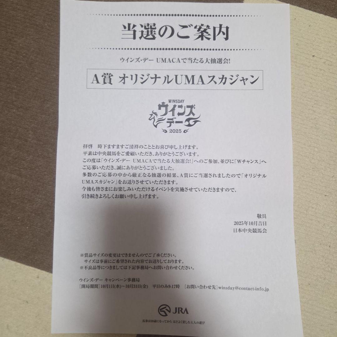 ウィンズデー スカジャン 黒/Lサイズ