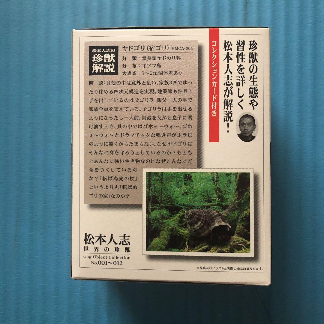 ダウンタウン　松本人志　世界の珍獣