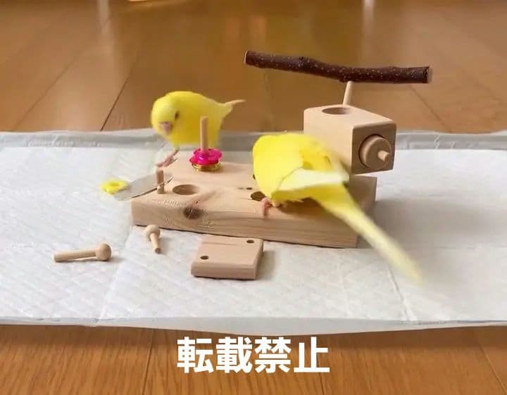 u70 ⭐ フォージングトイセット⭐ 輪投げ バードトイ 文鳥 インコ