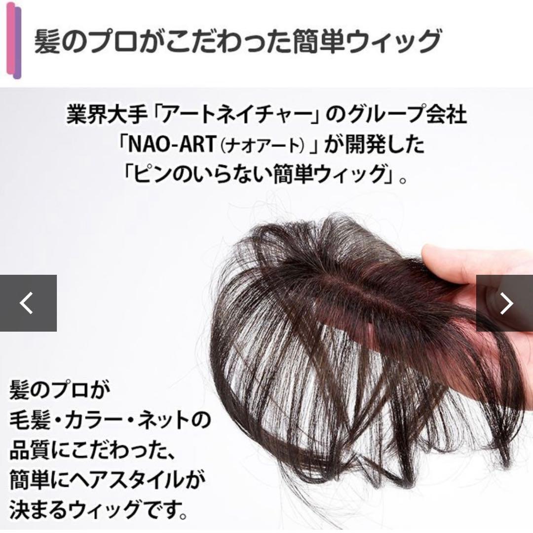 NAO-ART ピンのいらない簡単ウィッグ ナチュラルブラウン ポシュレ