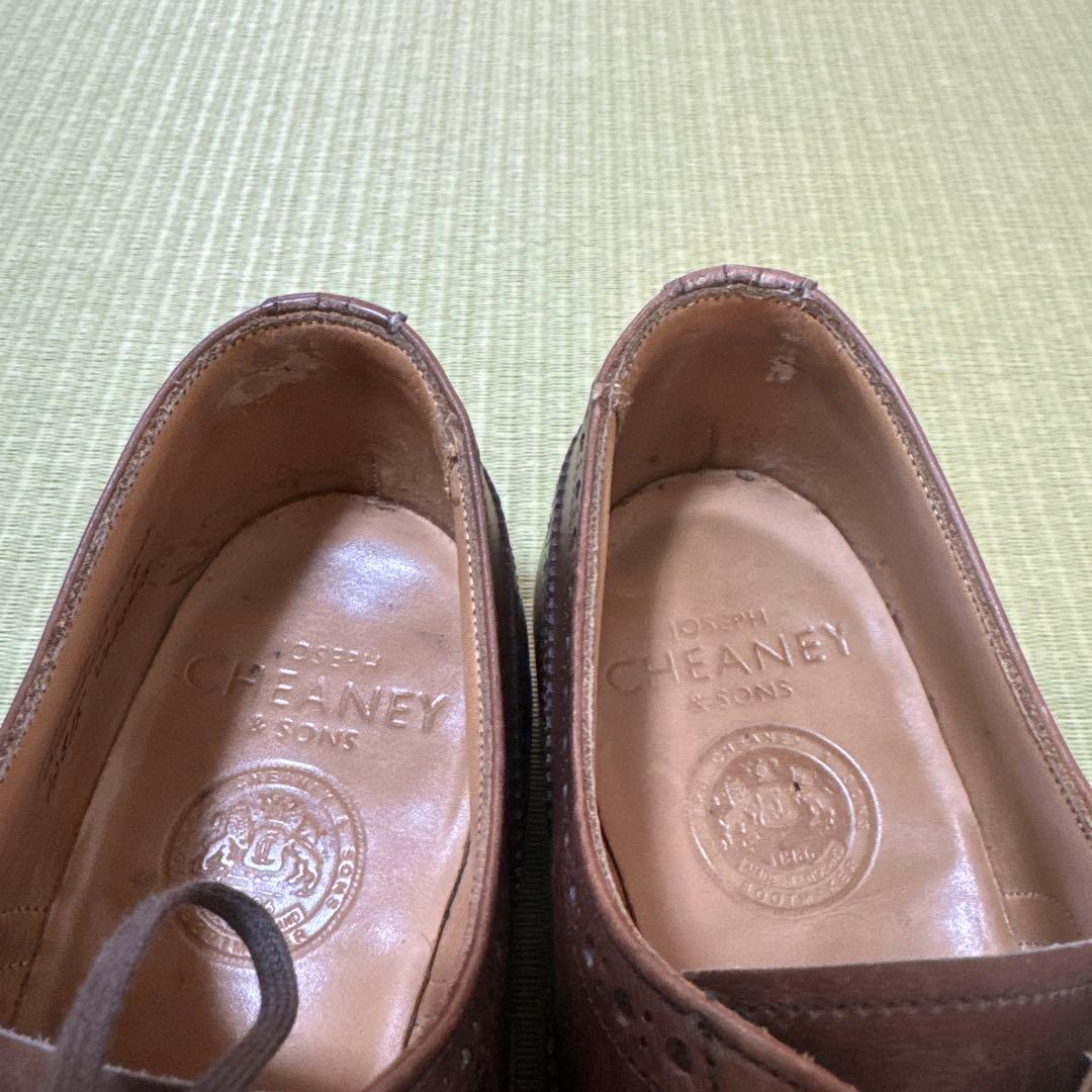 チーニー　ウィルフレッド　UK8 F