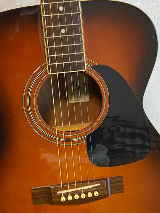 綺麗！takamineタカミネ T-F1/BS Fタイプ アコギ